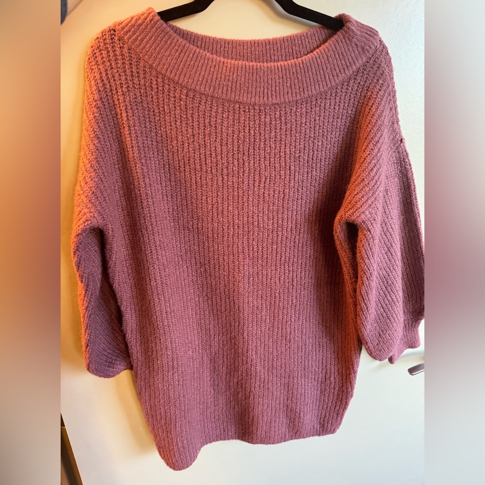 Express Mulberry Long Sleeve Sweater Dress